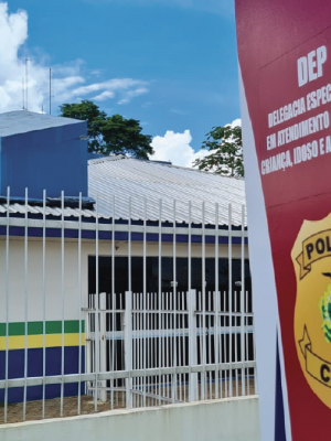 A Polícia Civil do Amazonas (PC-AM), por meio da Delegacia Especializada de Polícia (DEP) de Humaitá (a 590 quilômetros de Manaus), deflagrou, nesta segunda-feira (23/06), a Operação Criança Esquecida e cumpriu mandados de prisões de nove homens por não pagamento de pensão alimentícia.