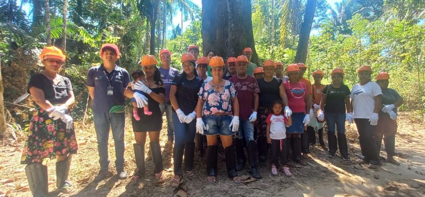 Em Humaitá (a 590 quilômetros da capital), extrativistas locais tiveram acesso à capacitação Boas Práticas de Manejo da Castanha-da-Amazônia. À frente do curso esteve o Instituto de Desenvolvimento Agropecuário e Florestal Sustentável do Estado do Amazonas (Idam), com o intuito de alavancar a atuação coletiva dos trabalhadores rurais e o desenvolvimento econômico local.