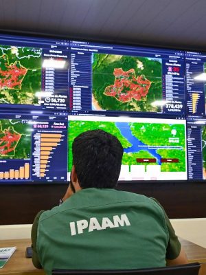 O Instituto de Proteção Ambiental do Amazonas (Ipaam) registrou uma redução nos índices de desmatamento e nos focos de calor no Estado durante o mês de junho de 2025. De acordo com dados do Sistema de Detecção de Desmatamento em Tempo Real (Deter), do Instituto Nacional de Pesquisas Espaciais (Inpe), a área desmatada no Amazonas caiu 52,46%, passando de 13.915 hectares em junho de 2024 para 6.614 hectares no mesmo período deste ano.