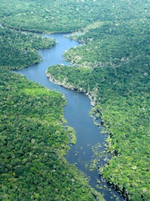 O Instituto de Proteção Ambiental do Amazonas (Ipaam), por meio do Centro de Monitoramento Ambiental e Áreas Protegidas (CMAAP), registrou 1.842 focos de calor em todo o estado no mês de agosto de 2025, o menor número para o período desde 2011, quando foram registrados 1.543 focos. Ao mesmo tempo, o desmatamento também apresentou redução significativa: os alertas caíram de 1.862 para 702, e a área total desmatada recuou de 52.281 hectares para 15.790 hectares.